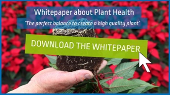 The three balances of the plant